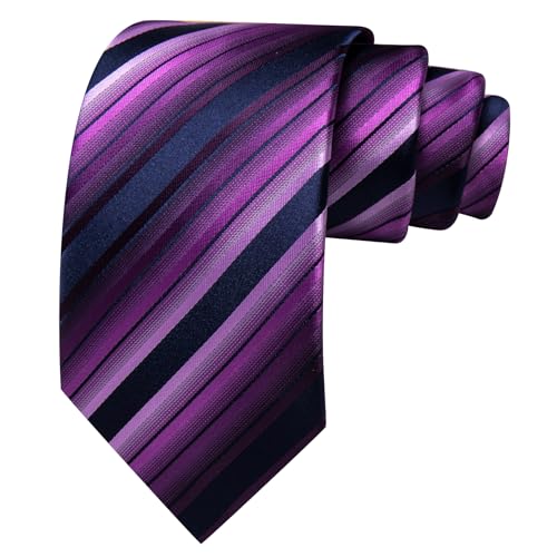 Image of Barry.Wang Silk Men Ties Formal Stripes Necktie and Tie Clip for Wedding Party Business Fashion Classic