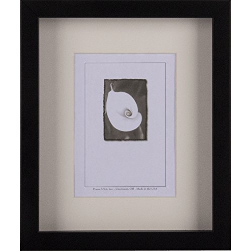 Frame USA True Depth Series 16x20 Poplar Wood Frames for Art and Canvas (Black)