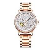 RORIOS Automatico Meccanico Orologio Donna Luminoso Orologio da Polso Shining Cielo Stellato Dial Elegant Women Watches