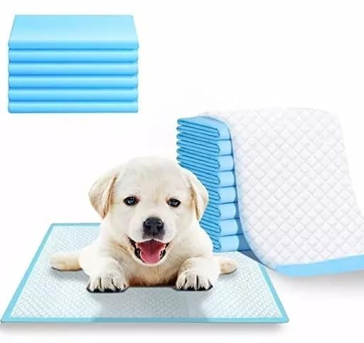 DNOTRO Disposable Pet Training Pads 60x60 cms Small Puppy Pee and Potty Pads with Quick Drying Surface & Absorbent Core, Suitable for Small/Medium/ Breed Pets, Dogs, Cats - Pack of 1, 10 pcs