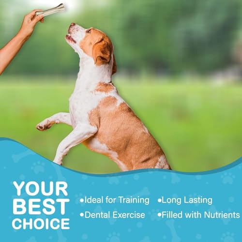 Image of 5 inch Rawhide Dog Chew Bones - Pack of 12 . Chicken Flavour . Protein‑Rich, Low‑Fat Dental Chews for Medium & Adult Dogs . No Added Colours or Preservatives