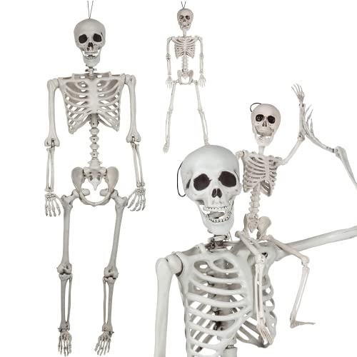 Posable Life Size Human Skeletons, Set of 2 - Adult & Child -Realistic Halloween Prop Fall Decorations w Bending Articulated Bone Joints That Stay in Place - Spooky Party Favor! - Indoor Outdoor Use