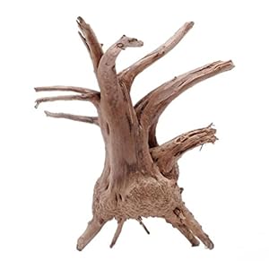 Acquario Driftwood 10 Cm Mini Spider Legno Ornamento Rettili Acquatici Tronco Habitat Terrario Paesaggistica Ceppo Nascondigli