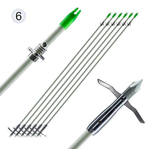 The Five Best Bowfishing Arrows in 2020