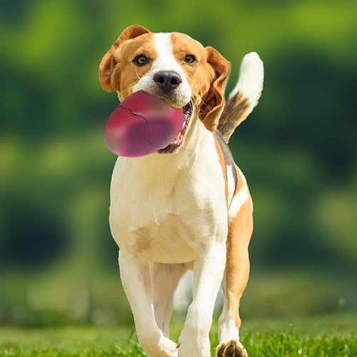 Fituenly Hundequietschende Spielzeug Latex Dinosaurier Ei Model Hundespielzeug Klingen Molierspielzeug Für Hunde, Haustier Und Welpe.