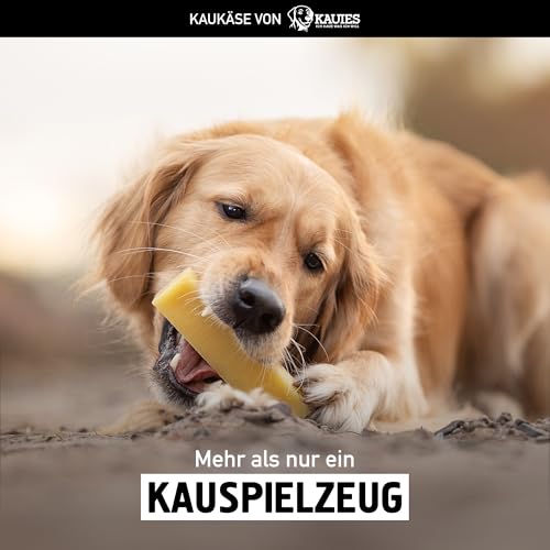 Kauies luftiger Kaukäse - 100% natürliche Käsestange für Hunde aus Kuhmilch, proteinreich, laktosefrei, glutenfrei, ideal für Welpen & Senioren, Made in Germany, Größe XXL (2 x 200g) bis 30kg