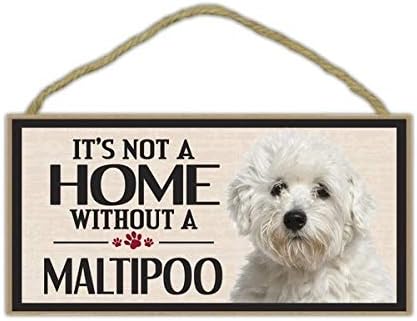 maltipoo accessories