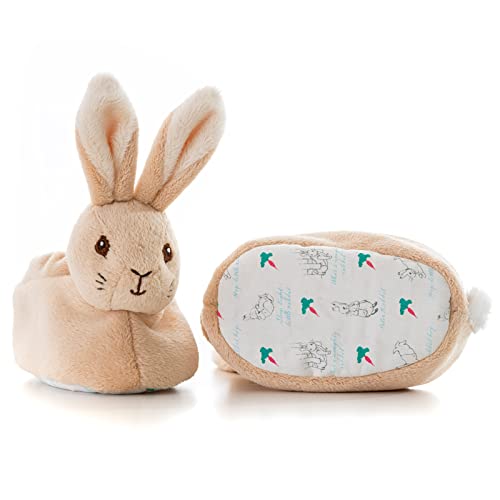 Peter Rabbit - Baby's First Booties
