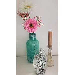 EcoSphere in eivorm – miniaquarium uit de NASA ruimteonderzoek – 13 cm hoogte