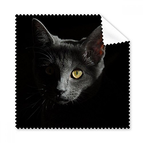 Nettoyant téléphone écran chiffon lunettes chat noir sauvage