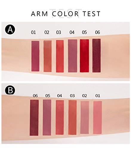 Topcent 6 Colors Matte Liquid Lipstick Makeup Set, Matte Velvety Long-Lasting Wear Non-Stick Cup Not Fade Waterproof Lip Gloss (B) #TOP3