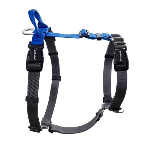 Balance Harness The 15 best products compared Wild Explained
