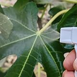 MYSUNBAR 4 x Spray Head with White, Replacement Spray Head for Standard Bottles with 28 mm Thread for Household, Hairdresser, Plants - Image 2