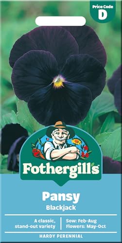 Image of Fothergill’s Pansy Seeds Blackjack for Planting UK – Deep Black Pansies for Bedding, Containers & Window Boxes - Sow February to August - Average 75 Pansy Seeds