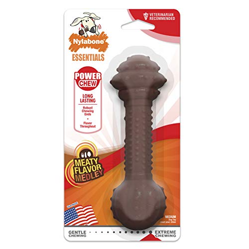 Nylabone Medley Flavour Barbell Dog Chew Toy