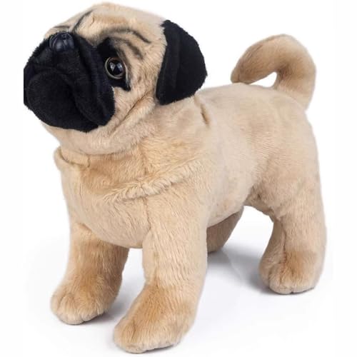 Sierpien �p�O �� �ʂ������ ���A�� �{���������� �������� �ӂ�ӂ� �� ������ �u�� �����N�b�V���� ���� �Q�Y�� �v���[���g [���s�A���i]