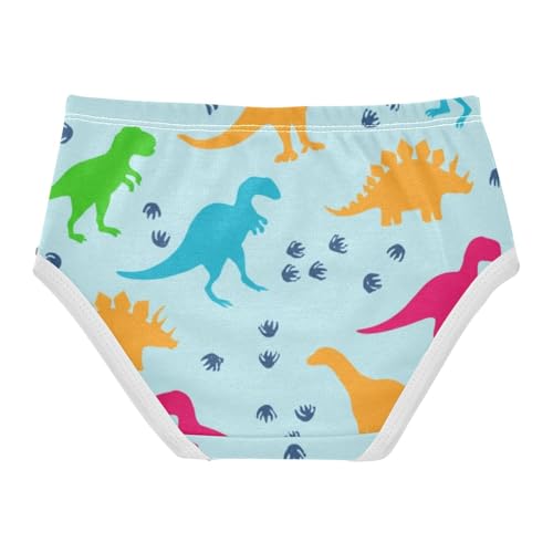 Toddler Underwear Custom 2t Cotton Panties for Girl Flower Briefs Kids Undies Colorful Dinosaur Blue2