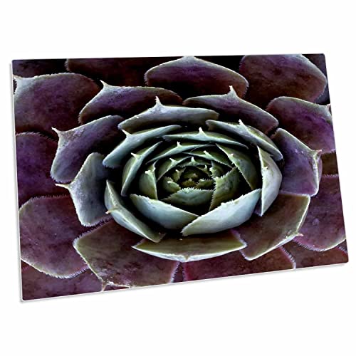 3dRose Desk Pad 23×16 pulgadas base antideslizante