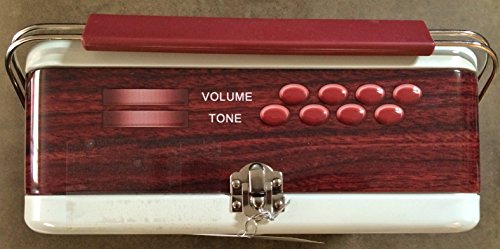 Retro Radio Collectable Cookie Tin with Handle and filled with 1 lb 12.2 oz of Chocolate Fudge Mint Cookies (Brown/Ivory) by Premium Select