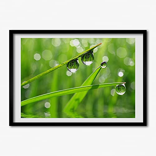 Affiche Gouttes Sur L'herbe Cadre MDF 70x50 cm Salon Design Végétal Tulup