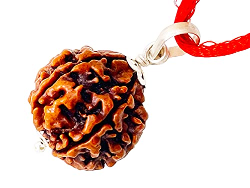 Image of Siddha 6 / Mukhi Pure Rudraksha, Laboratory Certified, Carefully Capped with Silver Between Nepalese Beads with Handmade Tassel, Size 16mm-22mm, Color-Brown (6 Mukhi Silver Rudraksha)