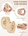 2 Pcs Soft Silicone Ear Model, Left and Right Flexible Fake Ear for Earrings Display, Realistic Ear Model for Piercing Practice, Acupuncture Teaching Tool (Light Skin Tone)