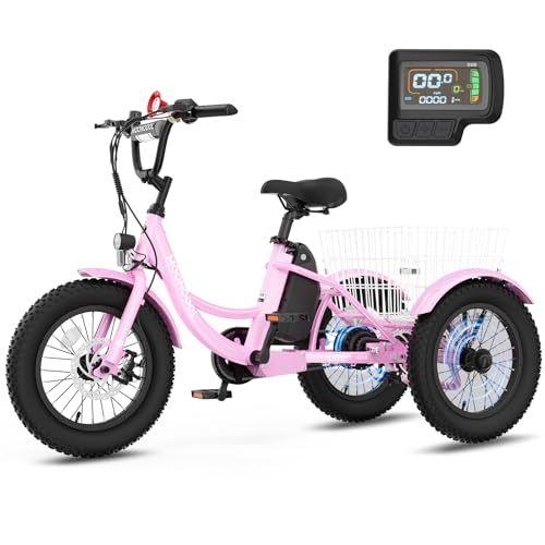 16 Inch Kids Electric Tricycle, 250W 24V Fat Tire Electric
