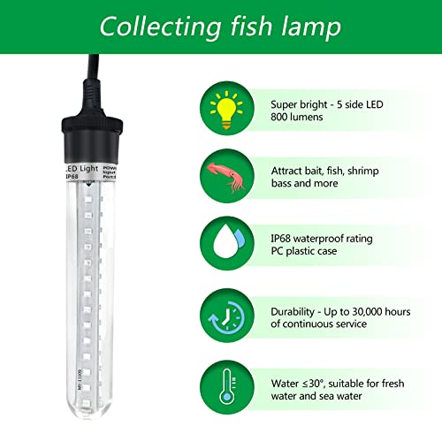 Luz de pesca LED XINHAOHANG, no gelo ou noturna, clipe bateria 12V 6,5W 800LM IP68 5M, lâmpada isca