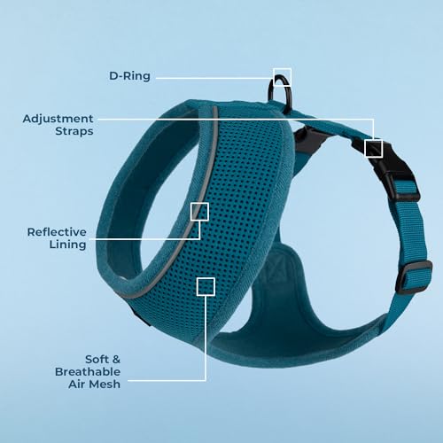 Image of Voyager Aerolite Over The Head Dog Harness, No Pull Breathable Air Mesh Vest, Quick Dry with Reflective Stitching, Adjustable Escape Resistant Harness for Small Medium Large Dogs - Turquoise, X-Large