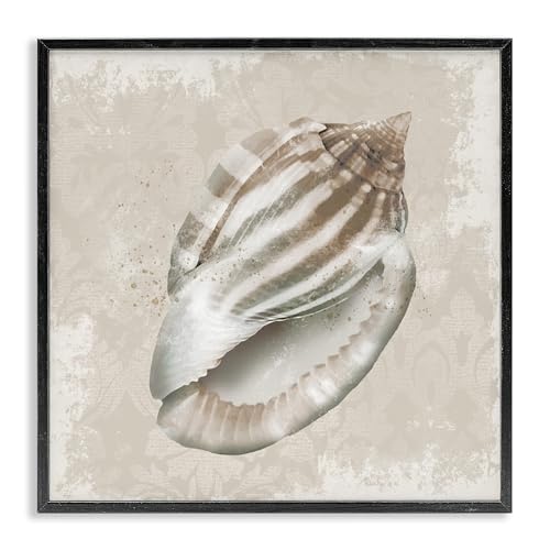 Conch Shell Vintage Pattern Coastal, 12 x 12 Inch Framed Giclée Print