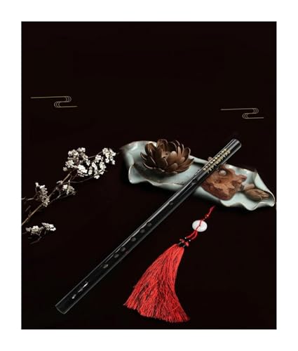 ̃t[g`y| Dizi S C L[ D L[ E L[ F L[ G L[ J