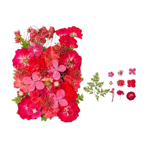 35 flores secas prensadas naturales para manualidades miniatura 1