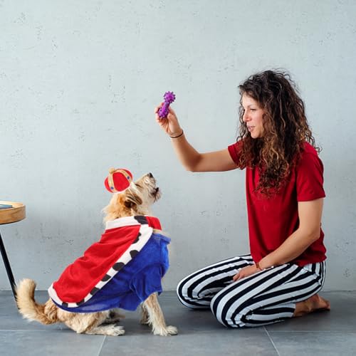 Disfraz de corona y capa Royal Crown para perros, talla grande miniatura 6