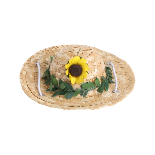 MUELODSIC ybgpXq ČfUC R[ht Lp ^Ή ʋCǍDŉKȔSn ʐ^BeU