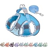 AIITLE XXS Dog Harness & Leash Set - Breathable Reflective No-Choke Small Dog Harness for Teacup Puppies, Indoor/Outdoor Use - Boston Terrier, Maltese, Chihuahua (Blue, XXS)