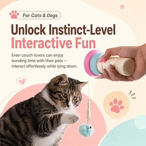 Interactif avec lancement et récupération le teaser électrique pour chat - 6
