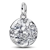 HuooNew Medallón con dije de circonita para mujer, pulsera, collares, regalos de moda, plata de ley 925, dijes para hacer joyas de bricolaje, Hole inner diameter: 4.5mm, Plata 925, Circón