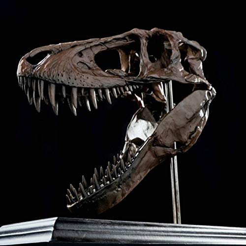 Liushi Pre-Sale Dragon Statue Model For Younger Children Tyrannosaurus Rex Statue Sculpture Museum Collection 1/2 #TOP27