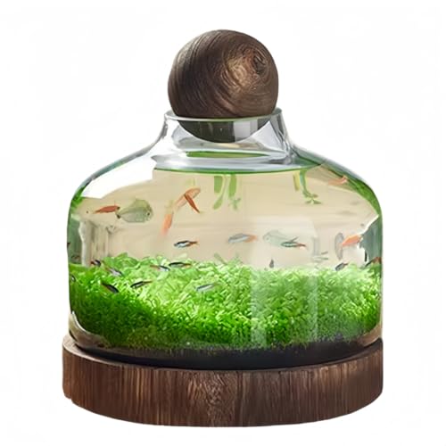 JoyLWOK 原木の台座 はガラスエコボトルの天板の微景観造景金魚鉢、透明ガラス多用途、室内装飾兼飼育容器(C##32 x 27 cm)