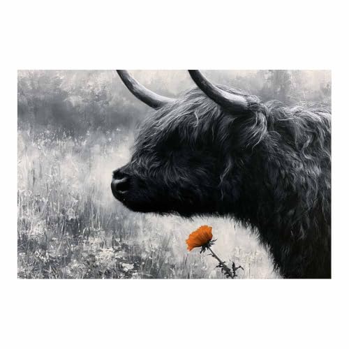 Vache des Highlands affiche monochrome pour un salon cocooning