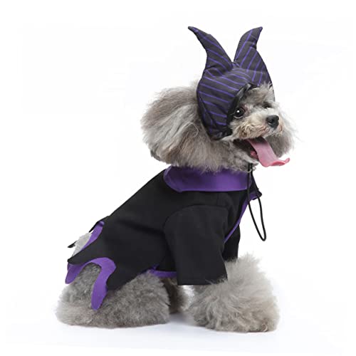 Disfraz de Bruja para Perro Beavorty Talla S miniatura 4