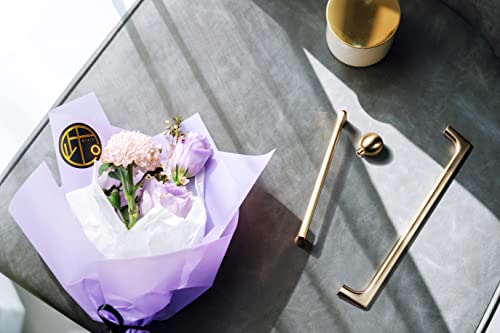 Goo-Ki Brushed Brass Zinc Alloy Cabinet Pull ,Modern Minimalist Style Cabinet Handle For Drawer ,Dresser, Cupboard Wardrobe Cabinet , 12.6'' Hole Center,6 Pack #TOP2