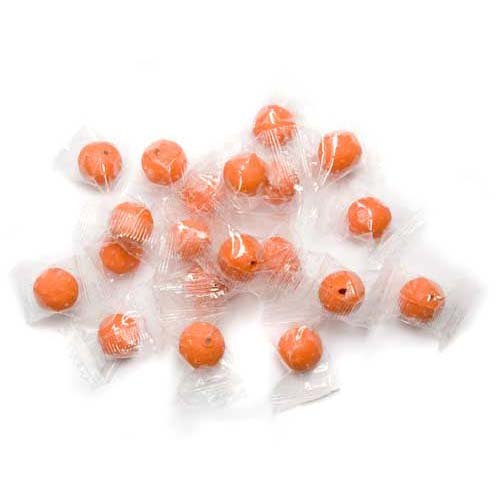 Caraselle One pack of 20 Zensect Bouchard Moth Proofer Balls with a New