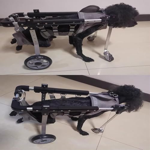 Silla de ruedas ajustable para perros con soporte protector de pecho para rehabilitación 6