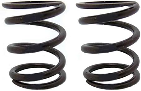 ARC Racing (2) Pack of 22Lb Valve Springs