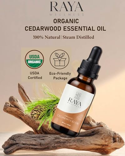 Aceite Esencial de Cedro Orgánico USDA 60 ml miniatura 2