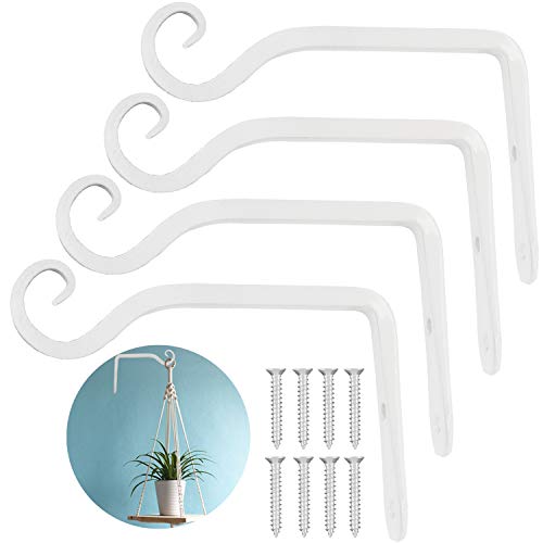 LOOGI Plant Hooks Iron Wall Hanger Decorative Bracket Holder 6 Inch for Hanging