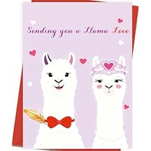 Asmallgf Best Friend Valentines Day Card for Him Her, Cute Llama BFF Valentine Decorations Gifts
