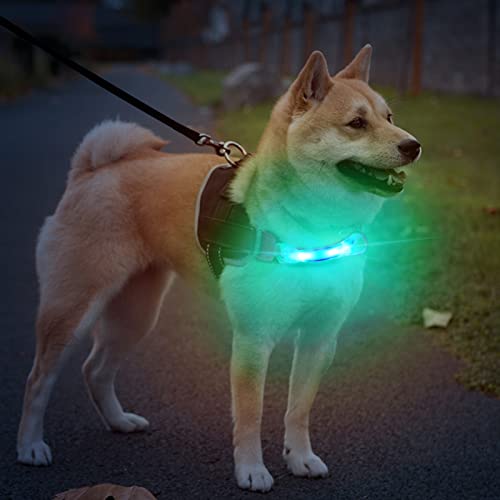 flintronic LED Leuchthalsband Hunde Halsband, Leuchtend Hundehalsband, Sicherheits LED Leuchtband für Hunde Katzen, LED Licht Blinklicht mit Klettverschluss, Helle Sicherheit für Die Nacht