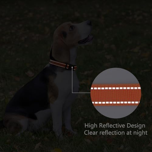 Image of Reflective Dog Collar, Adjustable Nylon for Medium Dogs,Tangerine